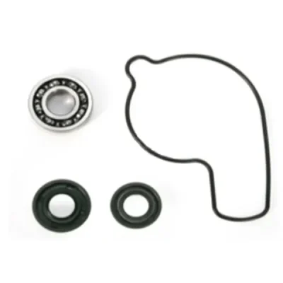 Zestaw naprawczy pompy wody Bearing Worx WMK30009 (WPK0001) Zestaw naprawczy pompy wody Bearing Worx WMK30009 (WPK0001)