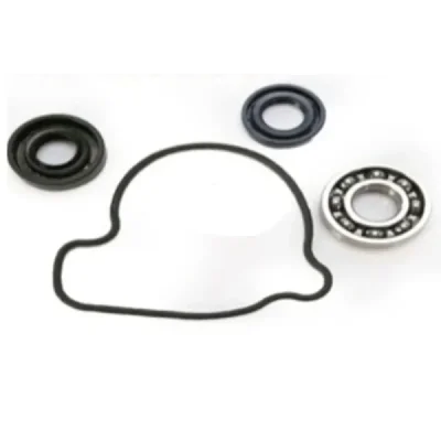 Zestaw naprawczy pompy wody Bearing Worx WMK30007 (WPK0006) Zestaw naprawczy pompy wody Bearing Worx WMK30007 (WPK0006)