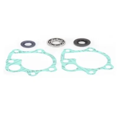 Zestaw naprawczy pompy wody Bearing Worx WMK30006 (WPK0013) Zestaw naprawczy pompy wody Bearing Worx WMK30006 (WPK0013)