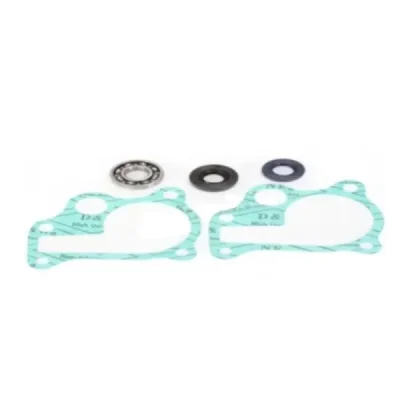Zestaw naprawczy pompy wody Bearing Worx WMK30005 (WPK0011) Zestaw naprawczy pompy wody Bearing Worx WMK30005 (WPK0011)