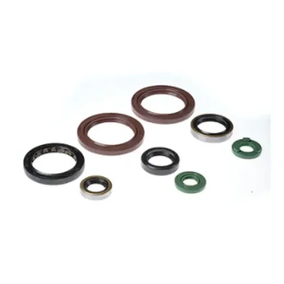 Uszczelniacze silnika komplet Bearing Worx OSK60333 (822333) Uszczelniacze silnika komplet Bearing Worx OSK60333 (822333)