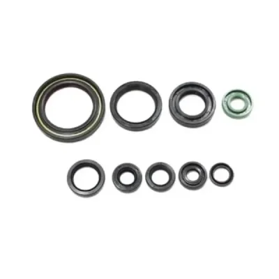 Uszczelniacze silnika komplet Bearing Worx OSK50319 (822319) Uszczelniacze silnika komplet Bearing Worx OSK50319 (822319)