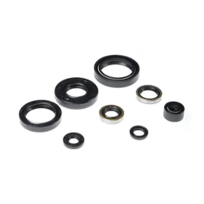 Uszczelniacze silnika komplet Bearing Worx OSK50183 (822183) Uszczelniacze silnika komplet Bearing Worx OSK50183 (822183)