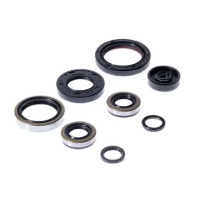 Uszczelniacze silnika komplet Bearing Worx OSK40264 (822264) Uszczelniacze silnika komplet Bearing Worx OSK40264 (822264)
