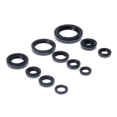 Uszczelniacze silnika komplet Bearing Worx OSK30271 (822271) Uszczelniacze silnika komplet Bearing Worx OSK30271 (822271)