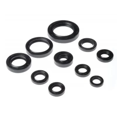 Uszczelniacze silnika komplet Bearing Worx OSK30270 (822270) Uszczelniacze silnika komplet Bearing Worx OSK30270 (822270)