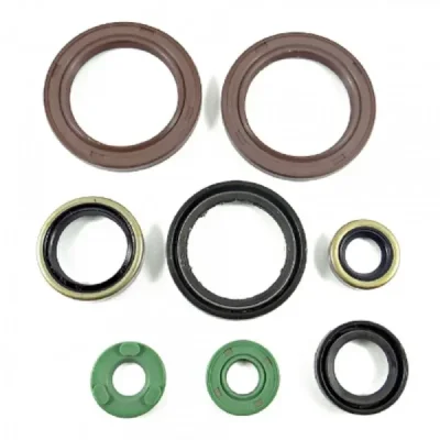 Uszczelniacze silnika komplet Bearing Worx OSK30248 (822357)