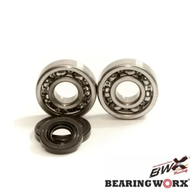 Łożysko wału korbowego Bearing Worx KTM SX 65 09-17 (CBK60012) Łożysko wału korbowego Bearing Worx KTM SX 65 09-17 (CBK60012)