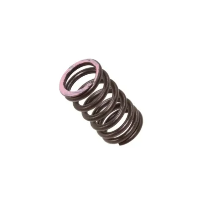 Sprężyna zaworu wydechowego Psychic Honda CRF 250R 18-20 CRF 250X 18-20 (XU-09564ES)