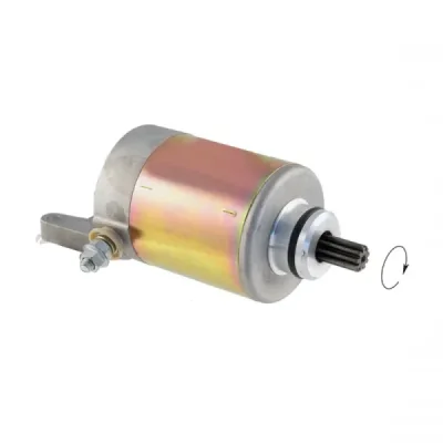 Rozrusznik (246390220)