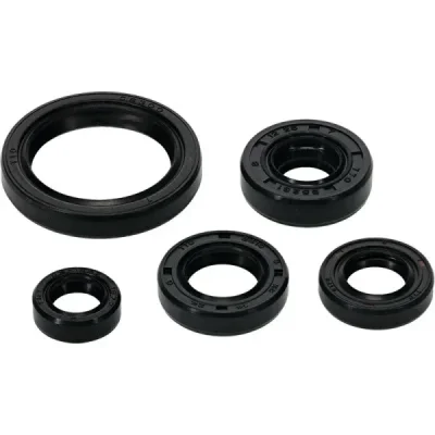Komplet uszczelniaczy silnika Winderosa Yamaha YZF 250 19 (822994)