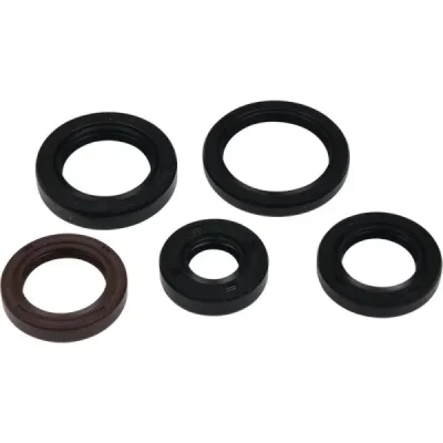 Komplet uszczelniaczy silnika Winderosa Polaris PHOENIX 200 05-21 RZR 170 09-20 SAWTOOTH 200 06-07 (822394) Komplet uszczelniaczy silnika Winderosa Polaris PHOENIX 200 05-21 RZR 170 09-20 SAWTOOTH 200 06-07 (822394)
