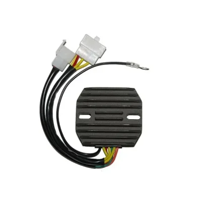 Regulator napięcia Electrosport ESR770 Regulator napięcia Electrosport ESR770