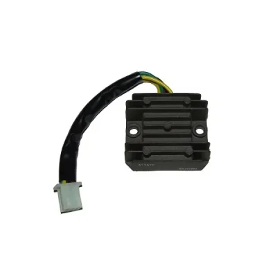 Regulator napięcia Electrosport ESR670 Regulator napięcia Electrosport ESR670