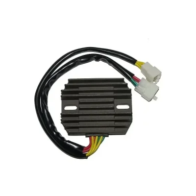 Regulator napięcia Electrosport ESR531 Regulator napięcia Electrosport ESR531
