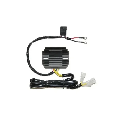 Stojan alternatora, uzwojenie, 400W, tylko z regulatorem ESR449 (regulator osobno) Electrosport ESG691