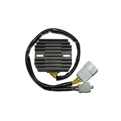 ElectroSport Regulator napięcia