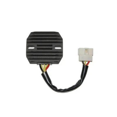Regulator napięcia Electrosport ESR261 Regulator napięcia Electrosport ESR261