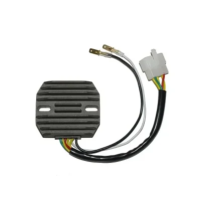 Regulator napięcia Electrosport ESR240 Regulator napięcia Electrosport ESR240