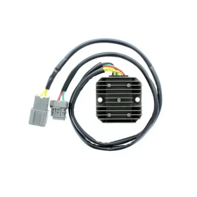 Regulator napięcia Electrosport ESR171 Regulator napięcia Electrosport ESR171