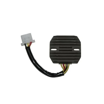 Regulator napięcia Electrosport ESR140