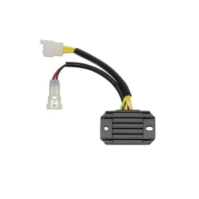 Regulator napięcia Electrosport ESR137