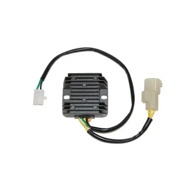 Regulator napięcia Electrosport ESR125