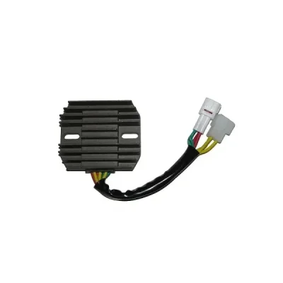 Regulator napięcia Electrosport ESR121