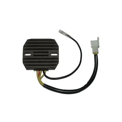 Regulator napięcia Electrosport ESR110