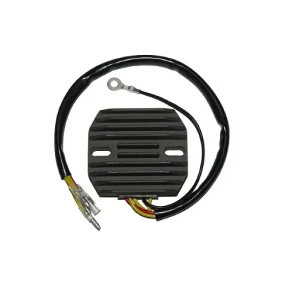 Regulator napięcia Electrosport ESR101