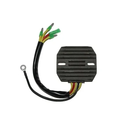 Regulator napięcia Electrosport ESR100