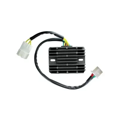 Regulator napięcia Electrosport ESR089