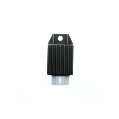 Regulator napięcia Electrosport ESR019