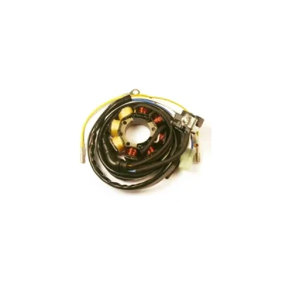 Electrosport Uzwojenie Alternatora (Stator) Ze Światłami Honda Crf 250R (04-09), Crf 450R (05-08) 60W (Z Impulsatorem) Electrosport Uzwojenie Alternatora (Stator) Ze Światłami Honda Crf 250R (04-09), Crf 450R (05-08) 60W (Z Impulsatorem)