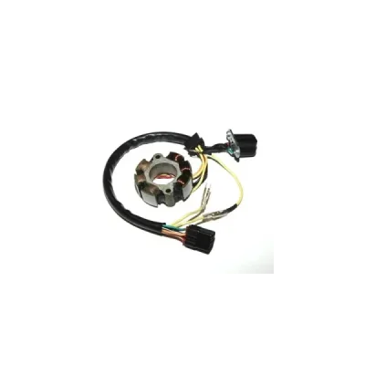 Stator iskrownik, stojan alternatora, ze światłami, 50W, Electrosport ESL405 Stator iskrownik, stojan alternatora, ze światłami, 50W, Electrosport ESL405