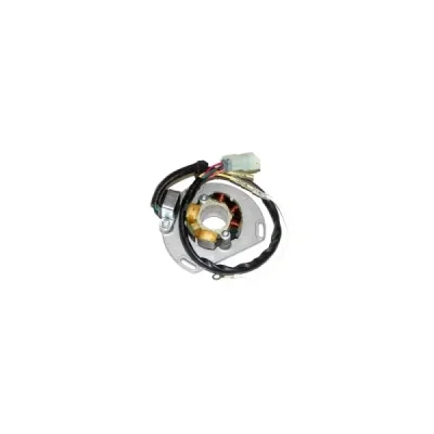 Electrosport Uzwojenie Alternatora (Stator) Ze Światłami Ktm 125/200/250/300 Exc/Sx/Xc 06- (50W) Komplet Z Płytą I Impulsatorem
