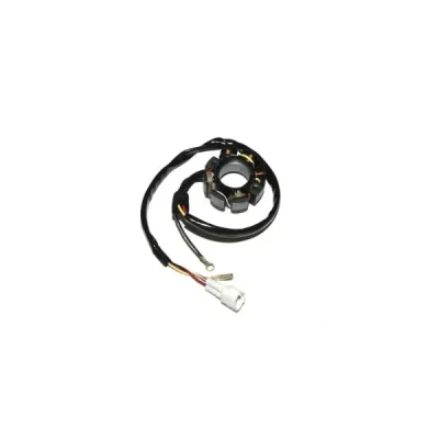 Electrosport Uzwojenie Alternatora (Stator) Ze Światłami Ktm 400/450/525/540/560 Electrosport Uzwojenie Alternatora (Stator) Ze Światłami Ktm 400/450/525/540/560
