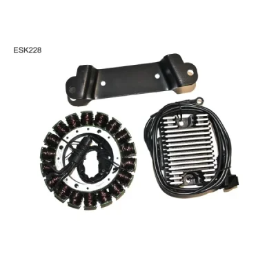 Stator iskrownik, stojan alternatora, z regulatorem napięcia Electrosport ESK228 Stator iskrownik, stojan alternatora, z regulatorem napięcia Electrosport ESK228