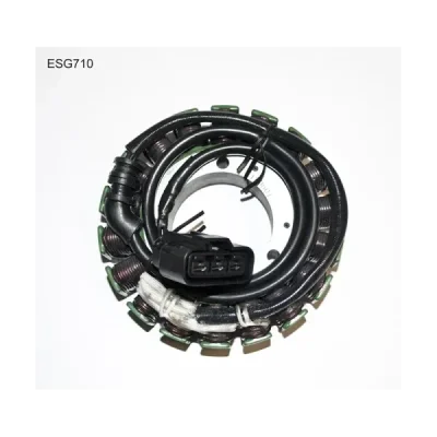 Stator iskrownik, stojan alternatora, Electrosport ESG710 Stator iskrownik, stojan alternatora, Electrosport ESG710