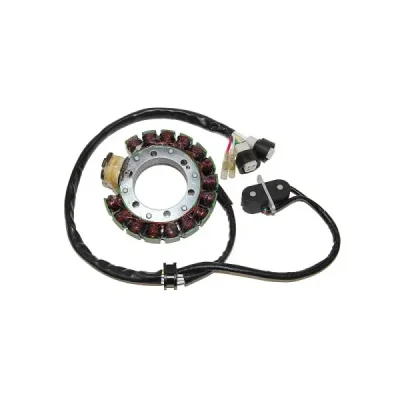 Stator iskrownik, stojan alternatora, Electrosport ESG431 Stator iskrownik, stojan alternatora, Electrosport ESG431