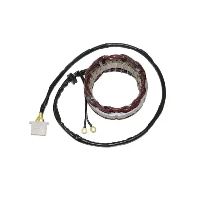 Stator iskrownik, stojan alternatora, Electrosport ESG210 Stator iskrownik, stojan alternatora, Electrosport ESG210