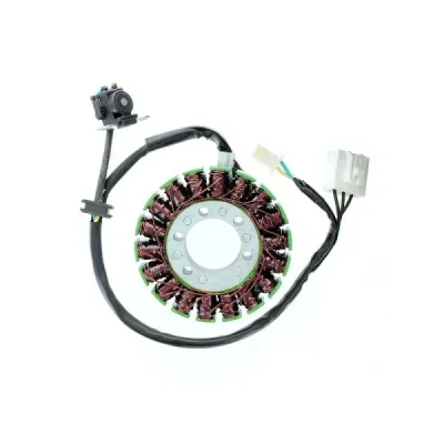 Stator iskrownik, stojan alternatora, Electrosport ESG113 Stator iskrownik, stojan alternatora, Electrosport ESG113