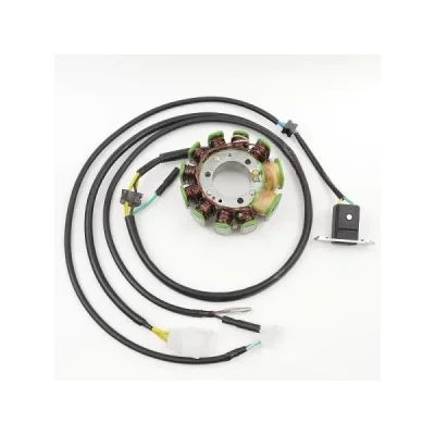 Electrosport Uzwojenie Alternatora (Stator) Honda Cmx 250C Rebel '96-'09 Electrosport Uzwojenie Alternatora (Stator) Honda Cmx 250C Rebel '96-'09