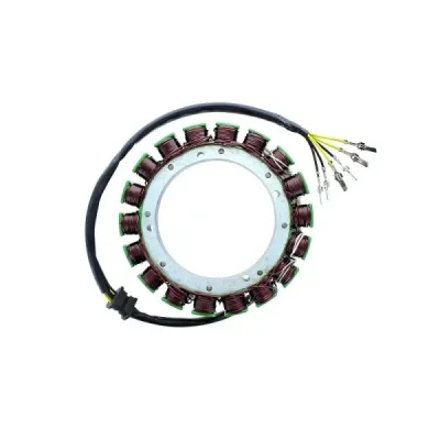 Stator iskrownik, stojan alternatora, Electrosport ESG100 Stator iskrownik, stojan alternatora, Electrosport ESG100