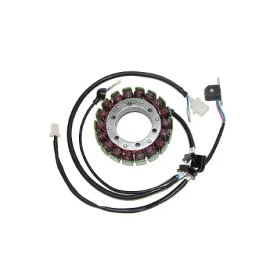 Stator iskrownik, stojan alternatora, Electrosport ESG079 Stator iskrownik, stojan alternatora, Electrosport ESG079