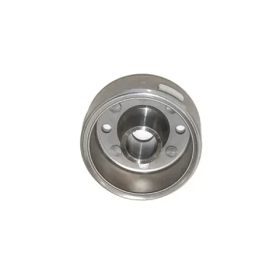 Magneto, koło magnesowe Electrosport ESF461 Magneto, koło magnesowe Electrosport ESF461