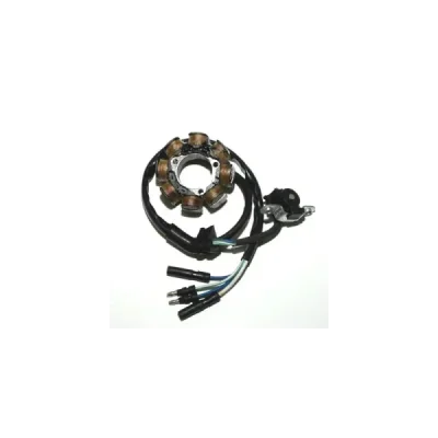 ElectroSport Stojan, alternator ElectroSport Stojan, alternator