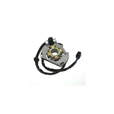 Stator iskrownik, stojan alternatora, Electrosport ESC221 Stator iskrownik, stojan alternatora, Electrosport ESC221