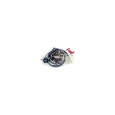 Uzwojenie alternatora stator ze światłami Electrex Honda CRF 450 02-09, CRF 250 04-09 (ST1495L) Uzwojenie alternatora stator ze światłami Electrex Honda CRF 450 02-09, CRF 250 04-09 (ST1495L)