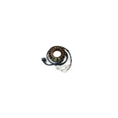 Uzwojenie alternatora stator Electrex Yamaha Warrior quad (87-04) (G435)